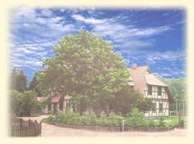 Leilighet Badebasseng Samtens