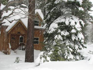 Cabin Tahoe Pines