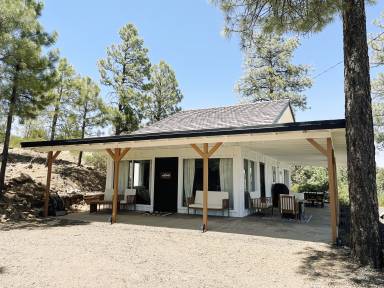 Cabin Show Low