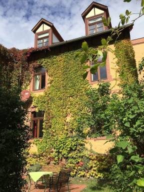 Apartment Südliche Neustadt