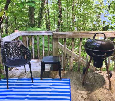Cabin Fireplace Saluda