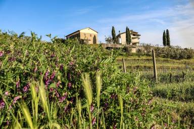 Case vacanza a Lamporecchio: scoprite la Toscana della Valdinievole - HomeToGo
