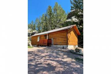 Cabin Kitchen Custer