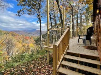 Cabin Waynesville