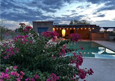 House Pool Vista Del Rio Estates