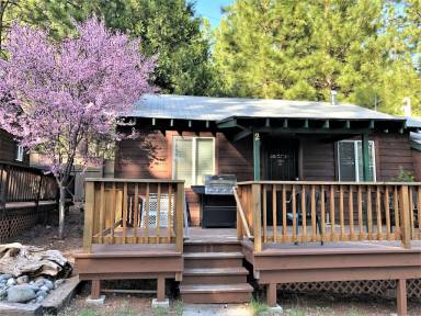 Cabin Lake Almanor