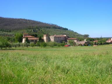 Case vacanza a Lajatico: la terra del silenzio nel cuore della Toscana - HomeToGo