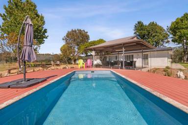 House Pool Tomakin