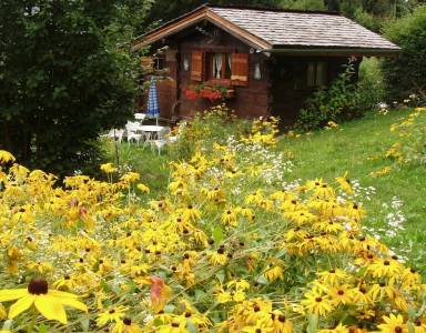 Chalet wifi Chamonix