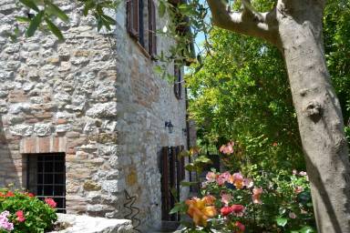 Casa Animali ammessi Corciano