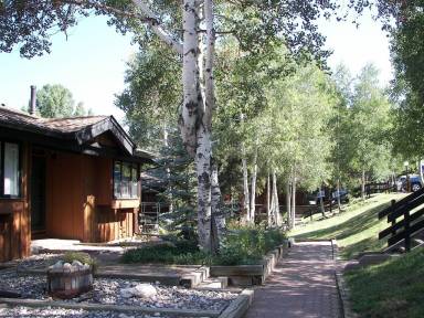 House Steamboat Springs