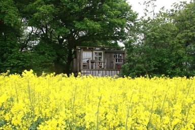 Camping-Unterkunft Garvensdorf