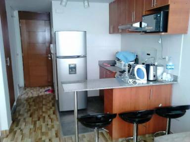 Apartment Miraflores