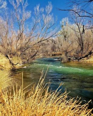 House Camp Verde