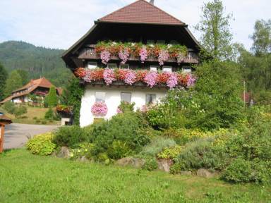 Ferienwohnung Gutach (Schwarzwaldbahn)