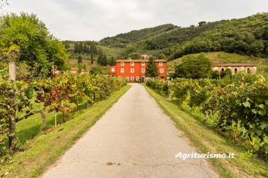 Appartamento Massarosa