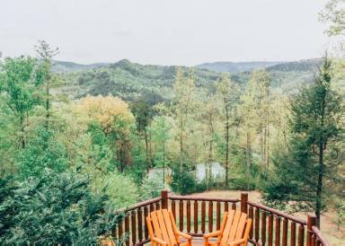 Cabin Doyle Springs