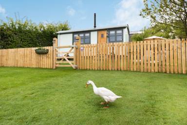 Cottage Ebberston