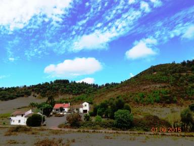 Cottage Porto Covo