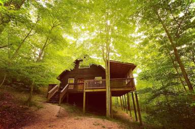 Cabin Internet Slade