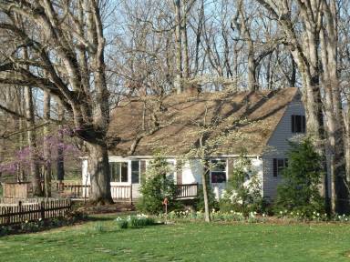 House Lyndhurst