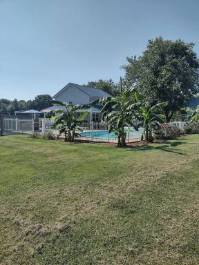 Cottage Pool Bardstown