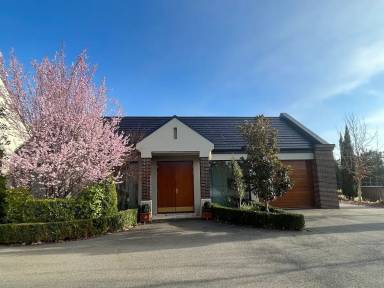 Apartment Majura