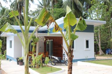 House Ko Pha Ngan