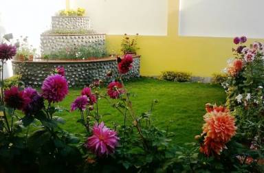 Leilighet Vijayipur