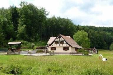 Cottage Tuin Wangenbourg-Engenthal