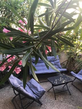 Appartement Saintes-Maries-de-la-Mer