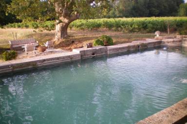 Dans la Provence verte avec une location de vacances à Brignoles - HomeToGo