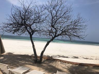 アパートメント Galu Beach