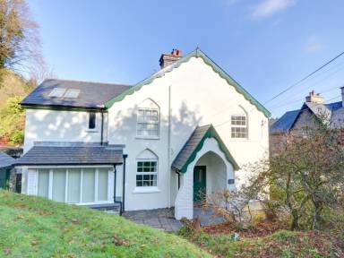 House Yard Dinas Mawddwy