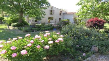 Maison de vacances Forcalquier