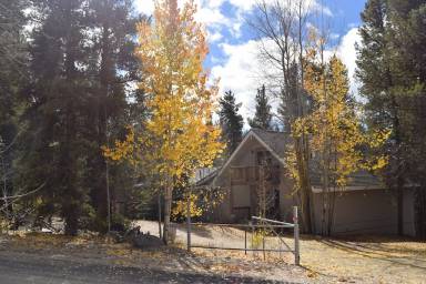House Leadville North
