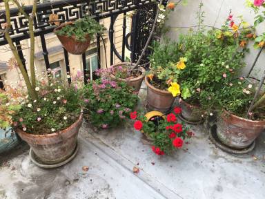 Appartement Jaurès