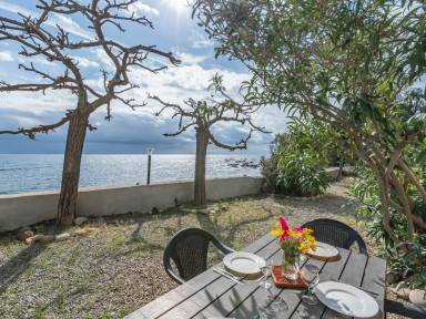 Maison de vacances Jardin Solenzara