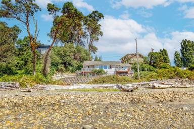 House Vashon