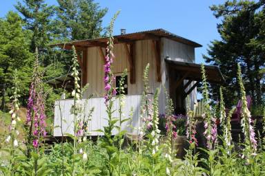 Stuga Pender Island