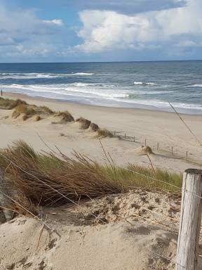 Ferienhaus Petten