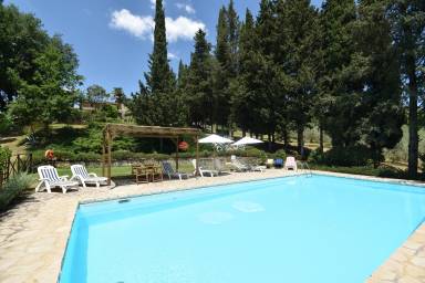 House Pool San Dalmazio