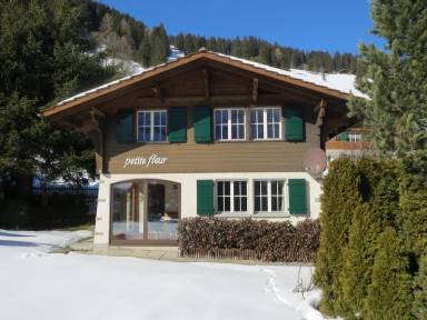 House Balcony/Patio Adelboden