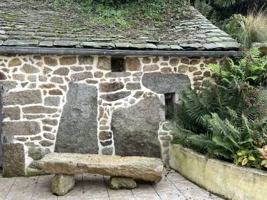 Maison de vacances Cheminée Fermanville