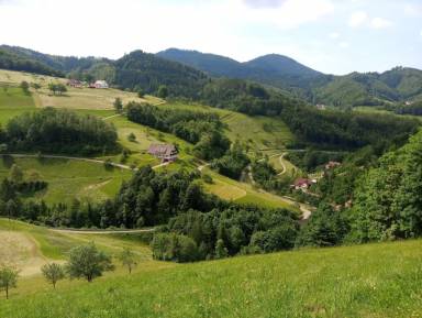 Ferienwohnung Bühl