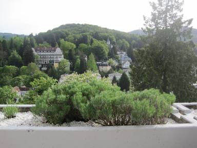 Ferienwohnung Terrasse/Balkon Gernsbach