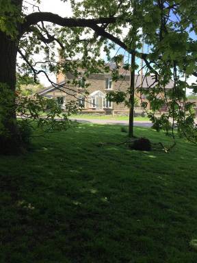 Cottage Parkend