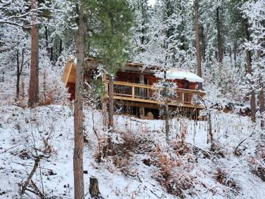 Cabin Spearfish