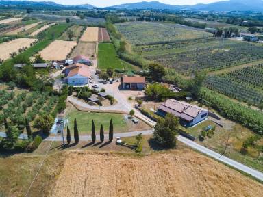 Appartamento Bibbona