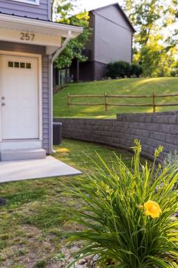 House Barboursville